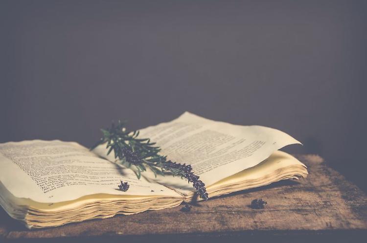 "La poesia che salva il mondo": incontro sulla poesia