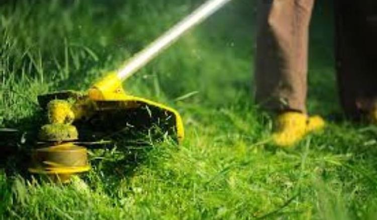 La lite per i lavori nell'orto degenera a colpi di decespugliatore e rastrello