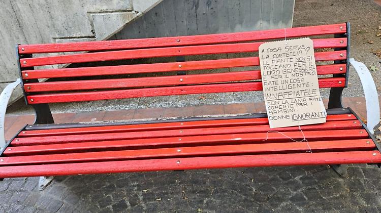 Protesta contro le Fate degli alberi: «Donne ignoranti»