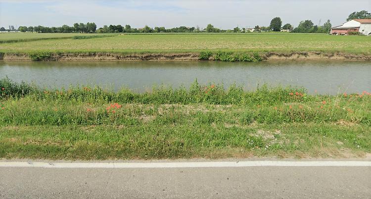 Pensionato di 84 anni trovato morto in un canale in mezzo alla campagna