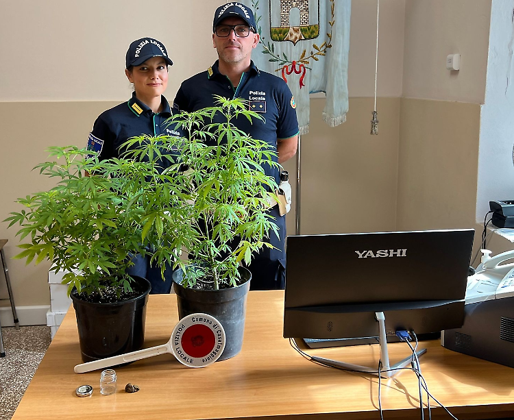 Non si ferma a un posto di blocco: in auto due piante di marijuana