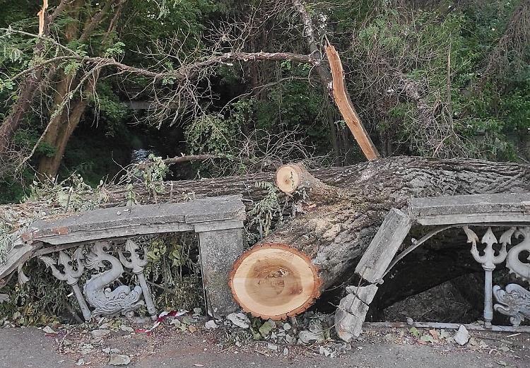 Ponte sul Morbasco lungo il Po, Comune in cerca di fondi