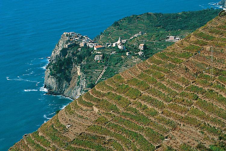Cinque Terre, crolla in mare parte della falesia sotto Corniglia