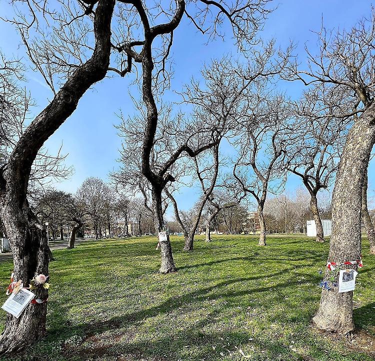 «Parco da salvare dal polo dell’infanzia»