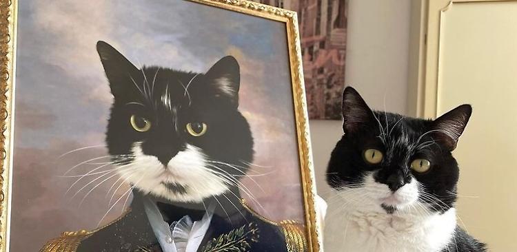 Gatti e cani in salotto, la moda dei ritratti fotografici