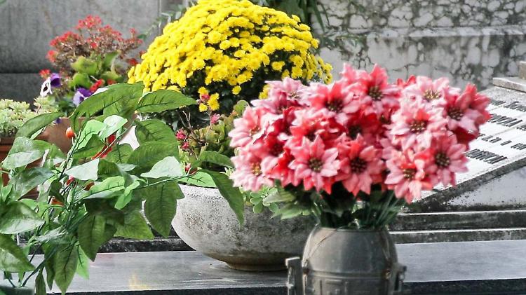 Spariscono i fiori dalla tomba del marito: «Vergogna»
