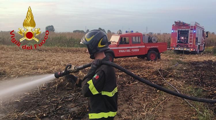 incendio campo