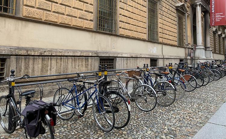 Museo e biblioteca: il destino della rastrelliera divide