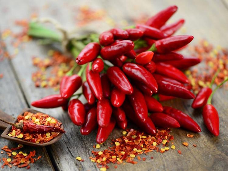 peperoncino