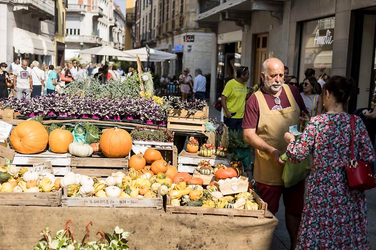 Le Invasioni Botaniche
