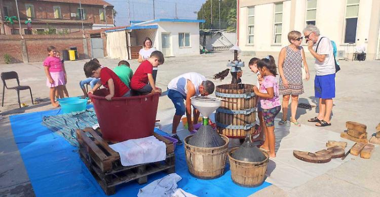 Giovanissimi protagonisti, così la pigiatura dell’uva è un evento