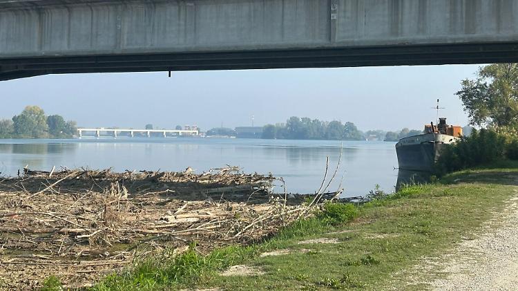 Po invaso dai detriti, la draga non si può usare: «Manca l'autorizzazione»