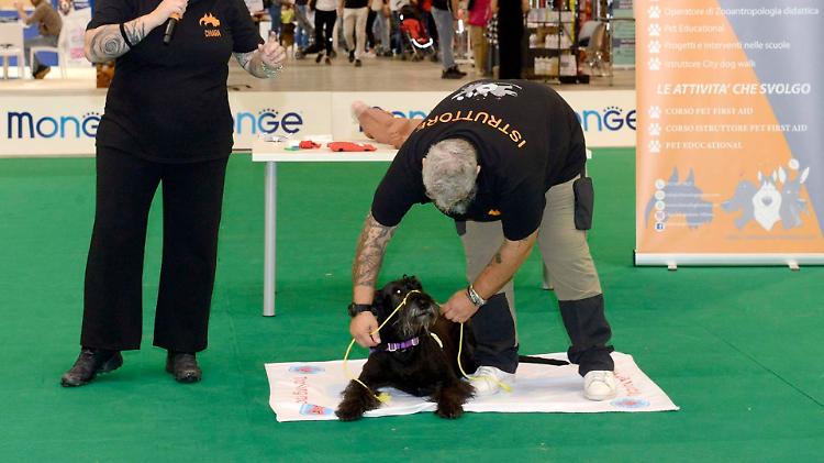 Il Petsfestival piace, è boom di visitatori