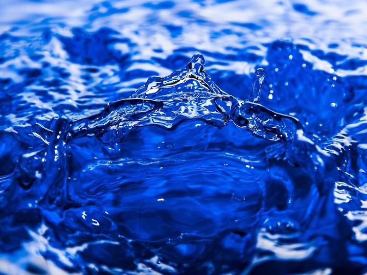 Giornata mondiale dell’alimentazione: produrre di più con una minore pressione sulle risorse naturali