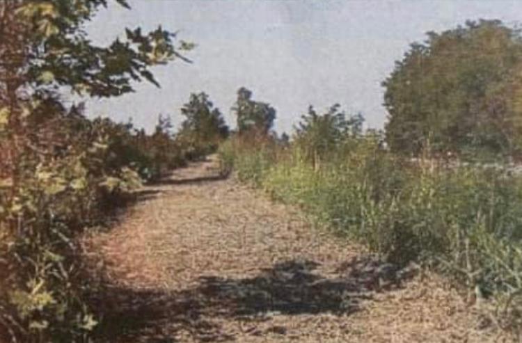Arriva l'ok alla pista ciclabile fino a Fiesco
