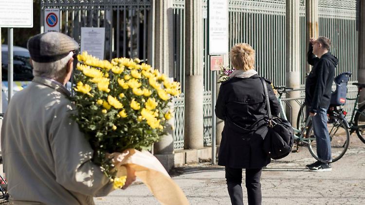 Crisantemi rincarati: «Tutta colpa della siccità»