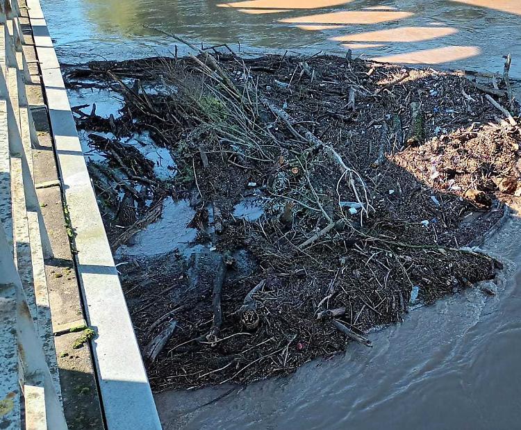 Allerta detriti e rami contro il ponte