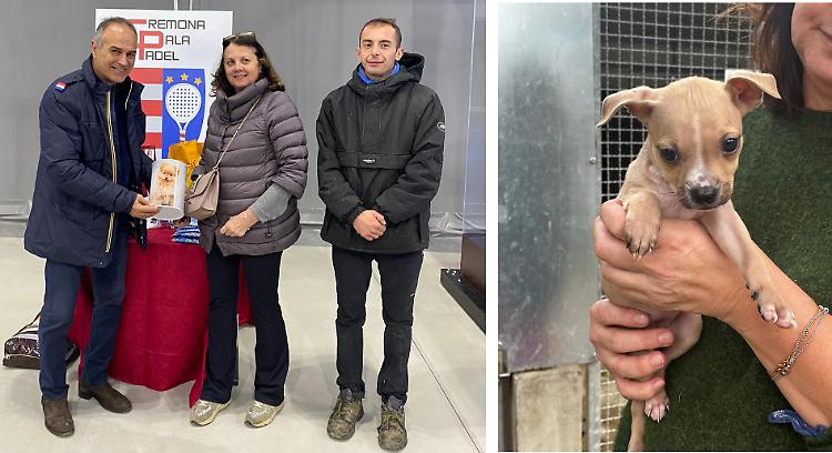 Sport e beneficenza per i cagnolini