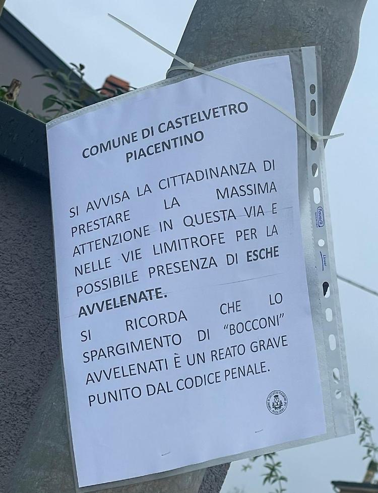 Polpette con puntine, scatta l'allarme attorno al polo scolastico