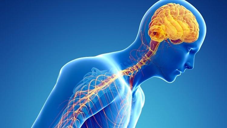 Riflessione in occasione della giornata di sensibilizzazione sul Parkinson
