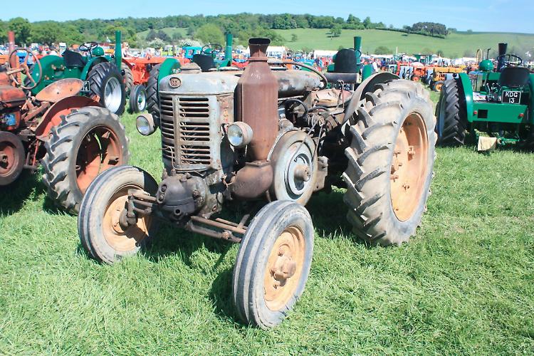 Festa del ringraziamento: esposizioni agricole, gastronomia e divertimento