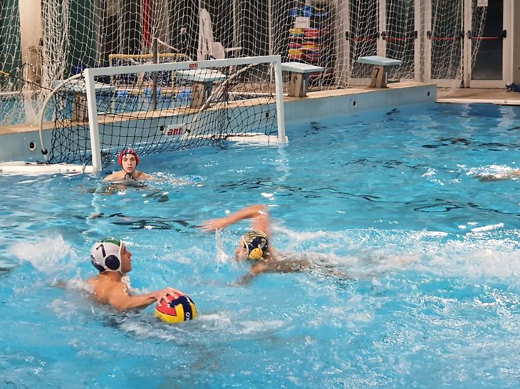 Pallanuoto: rilancio con sette squadre