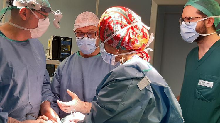 Otorinolaringoiatria, corso per specialisti a Palazzo Trecchi