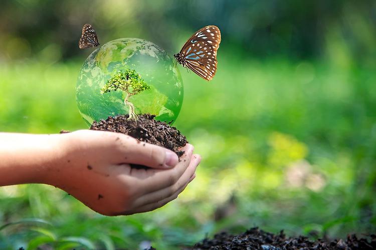 Salvaguardare la biodiversità attraverso la conservazione del Dna