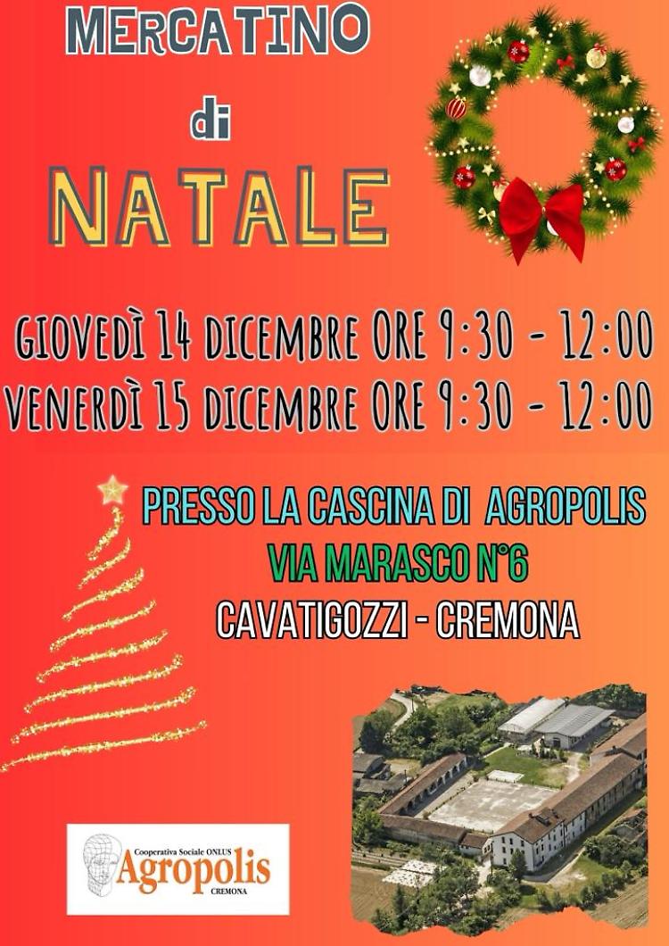 Il Mercatino di Natale di Agropolis