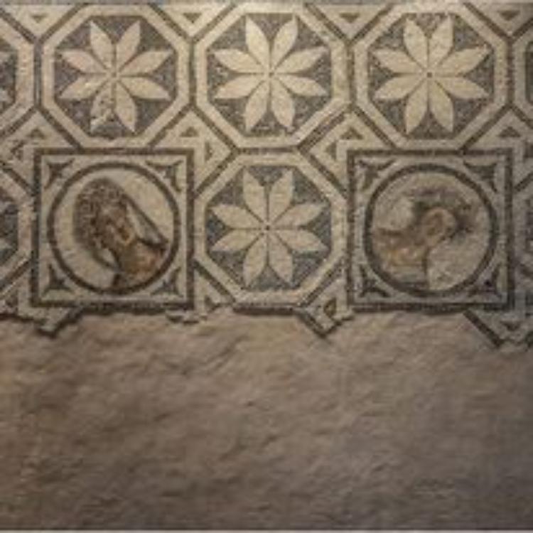 Un pomeriggio di presentazioni al Museo Archeologico