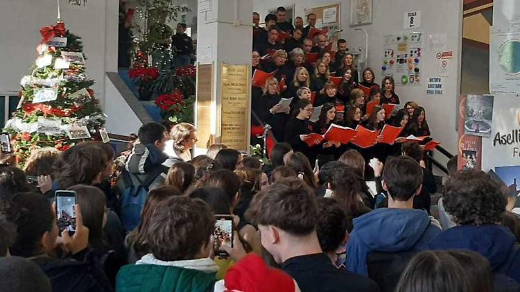 Aselli, Anguissola e Stradivari: il talento premia