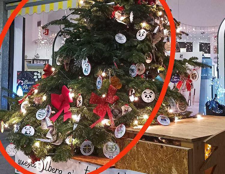 Sfregio all’albero dei volontari