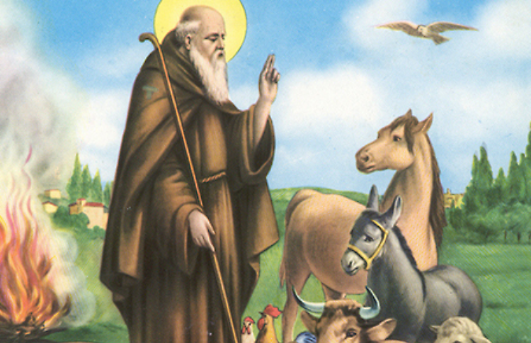 Il pranzo di Sant'Antonio
