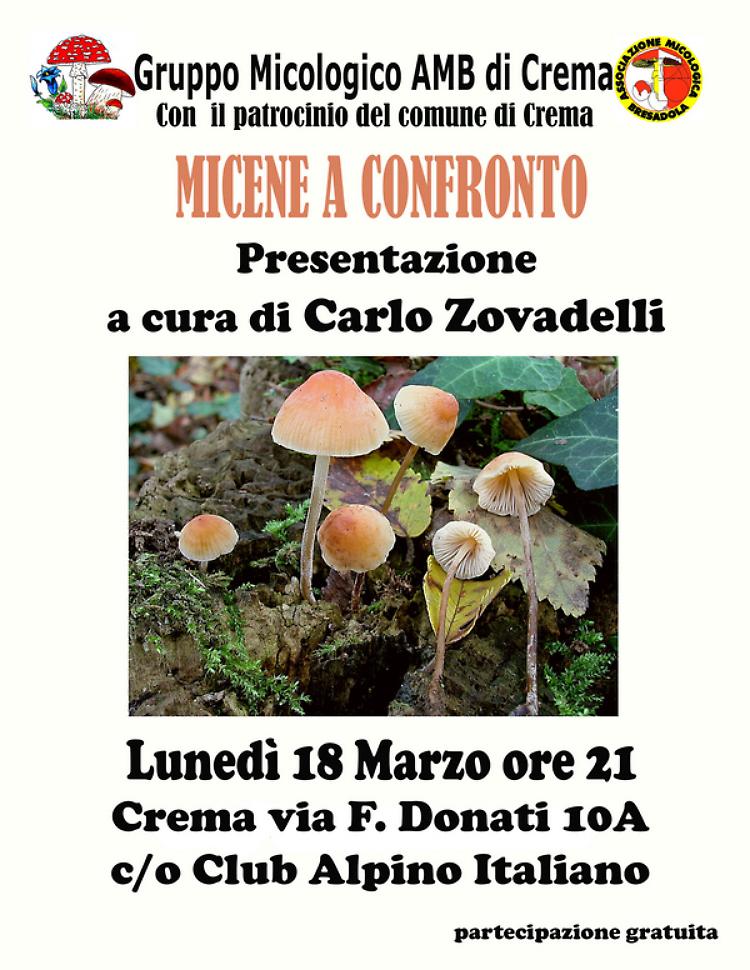Serata con la micologia: Micene a confronto
