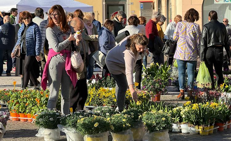 Con il 'Listone in fiore' la primavera è sbocciata
