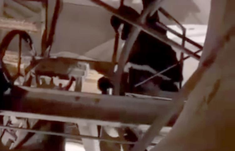 Violazione notturna del campanile, identificati i responsabili