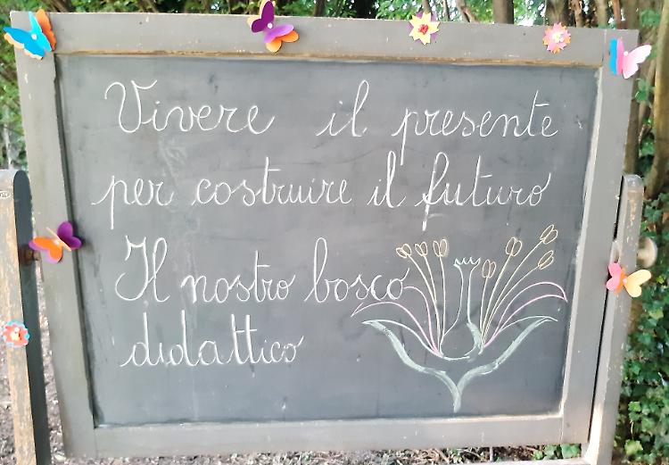 Didattica green con orto e stagno