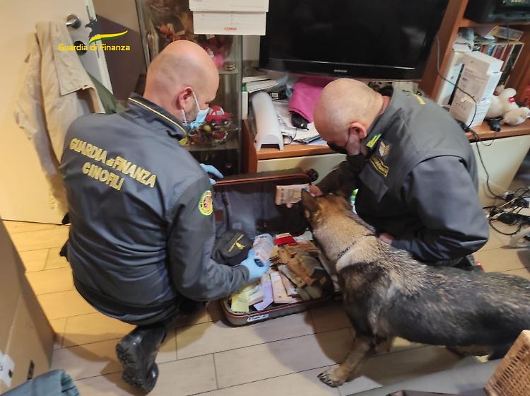 Società fantasma e fatture false, sequestrati oltre 5 milioni di euro in contanti