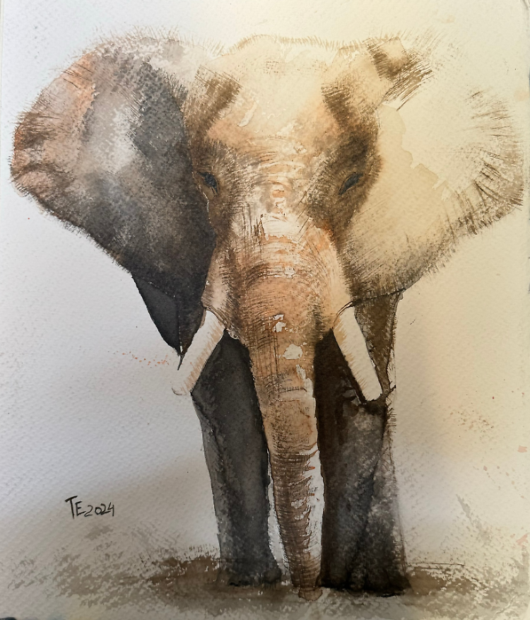 Esposizione "La bellezza del colore" di M. S. Ravani