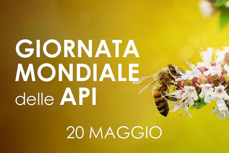 Festa per la Giornata Mondiale delle Api