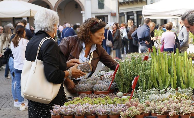 Fiori e sapori: il centro storico sboccia con gli stand