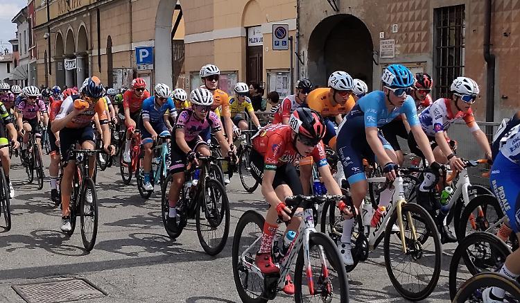 A Sesto il ruggito di Arnoldi