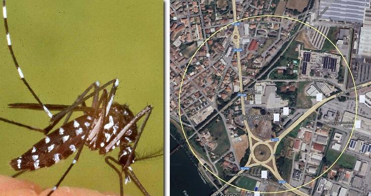 Dengue, un caso sospetto, subito il trattamento di disinfestazione