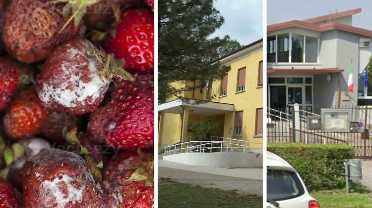Fragole ammuffite alle primarie di Offanengo e Salvirola