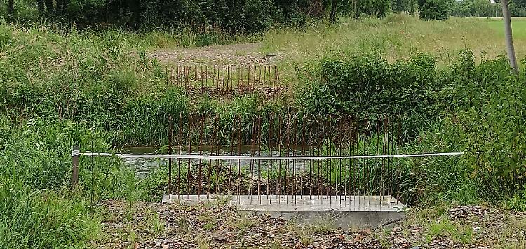 Verde selvaggio sulla ciclabile fantasma