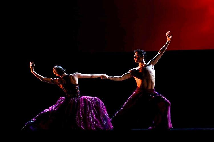 Gran Gala di Danza per Still I Rise