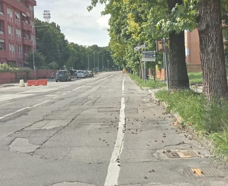 Riaperta la circolazione in via dell’Annona