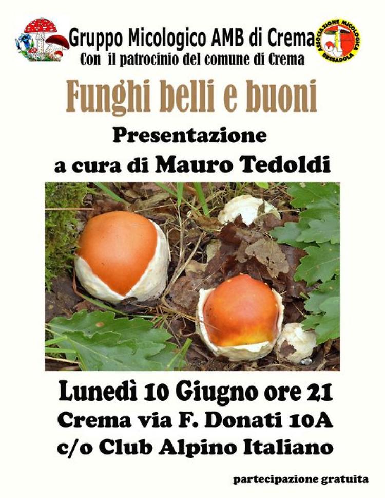 Serata con la micologia: Funghi belli e buoni