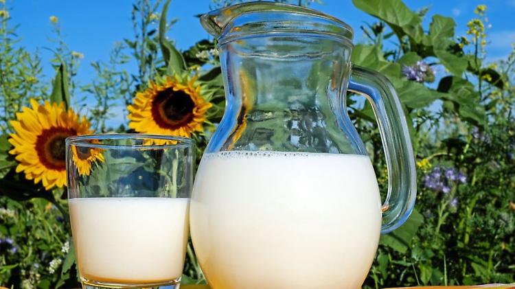 Giornata del latte: nutrizione salute, qualità e ambiente