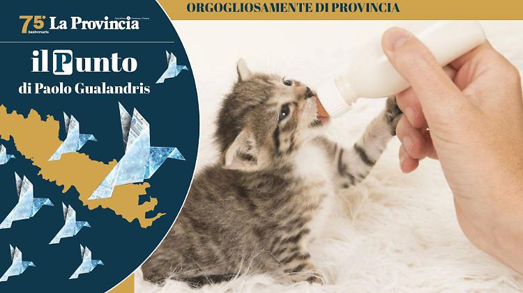 Hai mai fatto un viaggio di 150 litri?